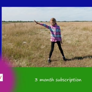 Subscription 3 months