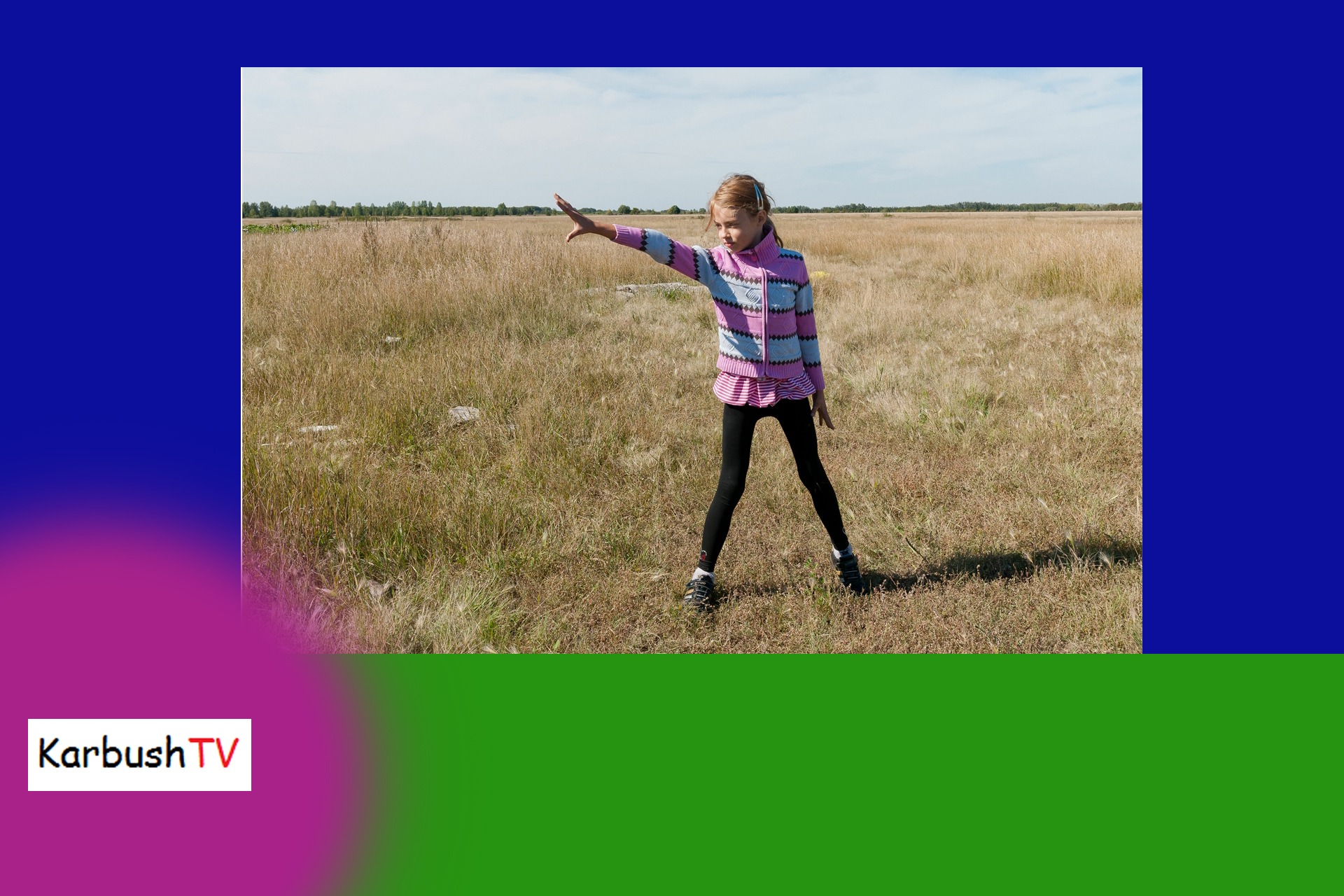 Трансляция DVD-сериал # 354