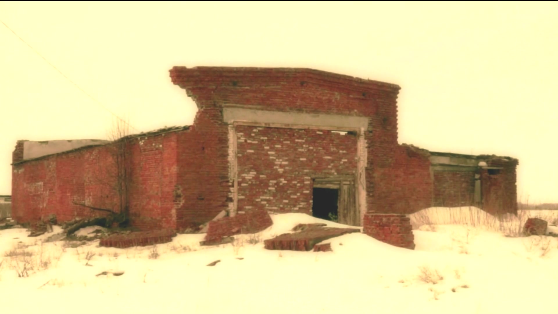 Лайв Пасс Основной 12 месяцев # 714