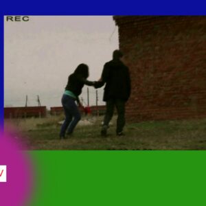 One seasonPlatinum Collection: Volume 1 [New DVD] Full Frame #562