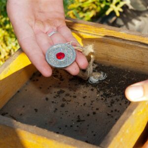 HorrorsNew World (2025) Digital UHD #284